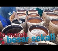 Bahan Pembuatan Gula Merah